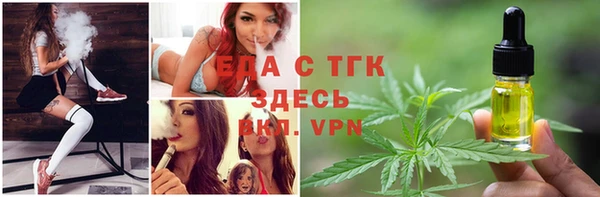apvp Вяземский
