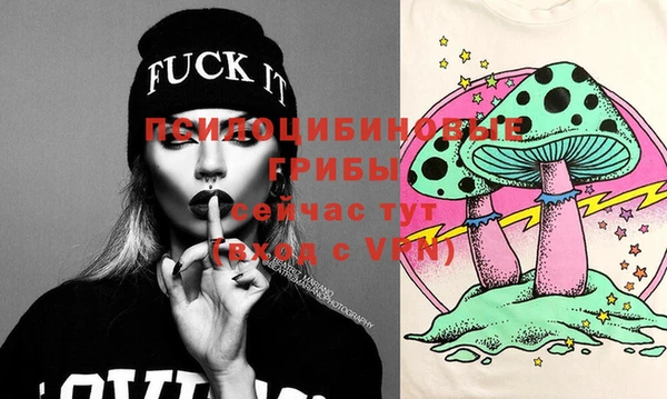 apvp Вяземский