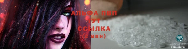 apvp Вяземский