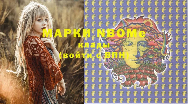 apvp Вяземский