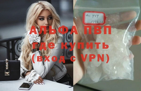 apvp Вяземский