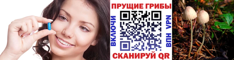 магазин  наркотиков  Гусиноозёрск  Псилоцибиновые грибы Cubensis 