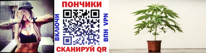 Бошки марихуана SATIVA & INDICA закладка Гусиноозёрск
